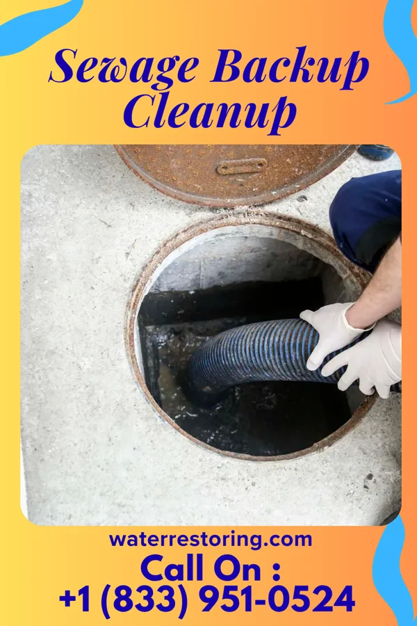 Sewage Backup Cleanup in Greenbriar, VA