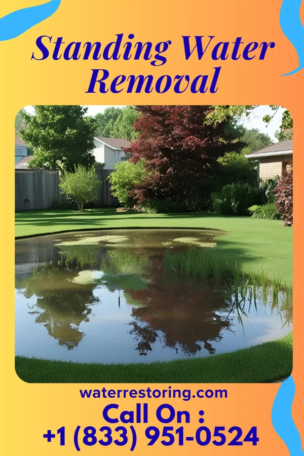 Standing Water Removal in Greenbriar, VA